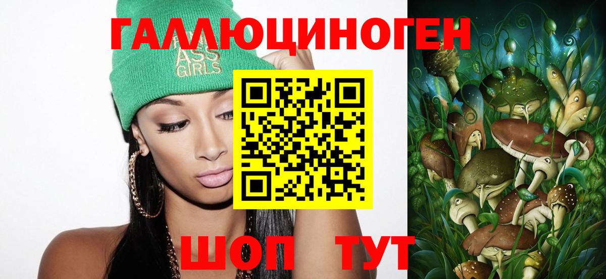 Псилоцибиновые грибы GOLDEN TEACHER  Вход с VPN  Губкин  Псилоцибиновые грибы Psilocybine cubensis 