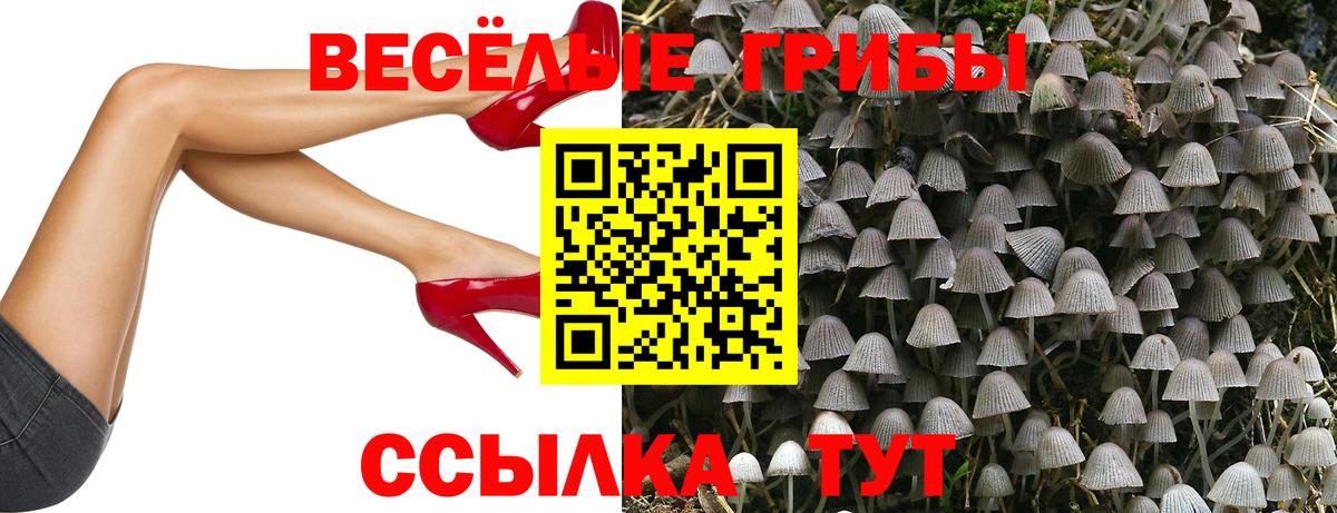 МАРИХУАНА  Губкин  Кокаин  Экстази  Вход с VPN  Меф МЯУ МЯУ кристаллы  МДМА  ГАШИШ 