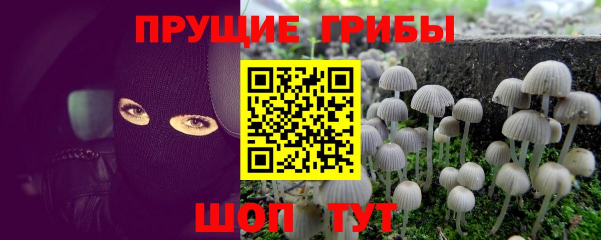 Псилоцибиновые грибы ЛСД Губкин