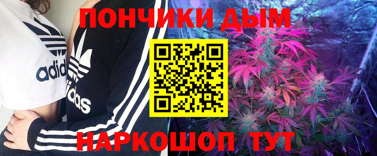 Шишки марихуана сатива Губкин